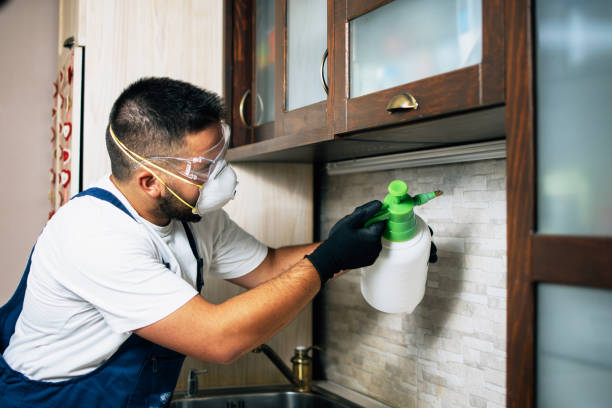 Best Bed Bug Extermination  in St Bonaventure, NY