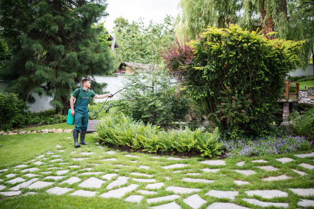 Best Pest Control Near Me in St Bonaventure, NY