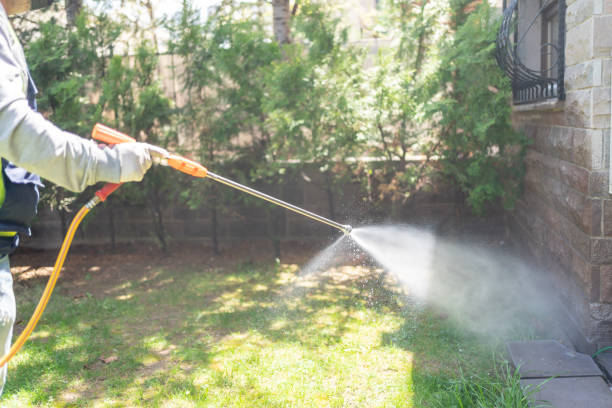 Best Wasp Removal Services  in St Bonaventure, NY