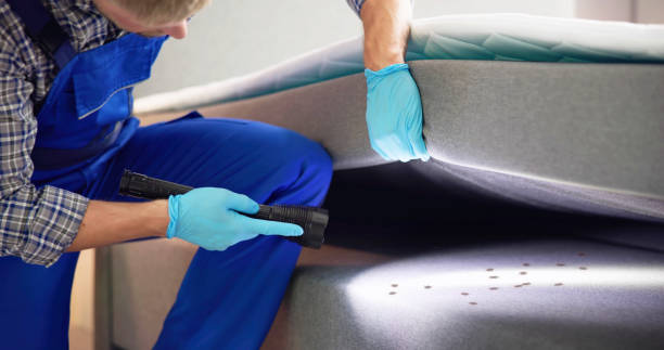 Best Pest Removal Services  in St Bonaventure, NY